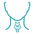 Endocrinology