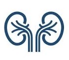 nephrology