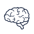 brain