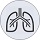 lungs